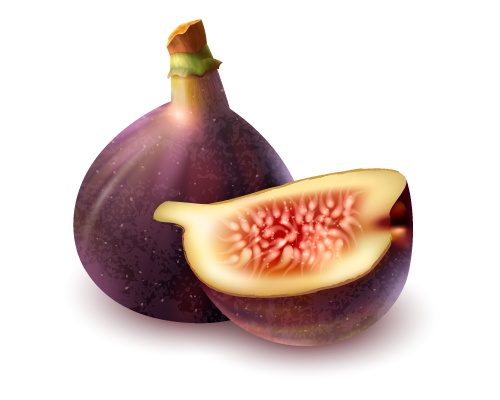 Fig